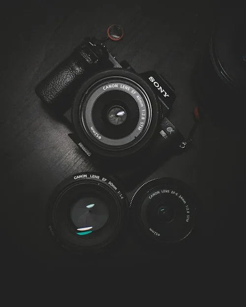 Photography Blog - 多多28